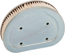 DRAG SPECIALTIES Replacement Air Filter - Touring E14-0316DS