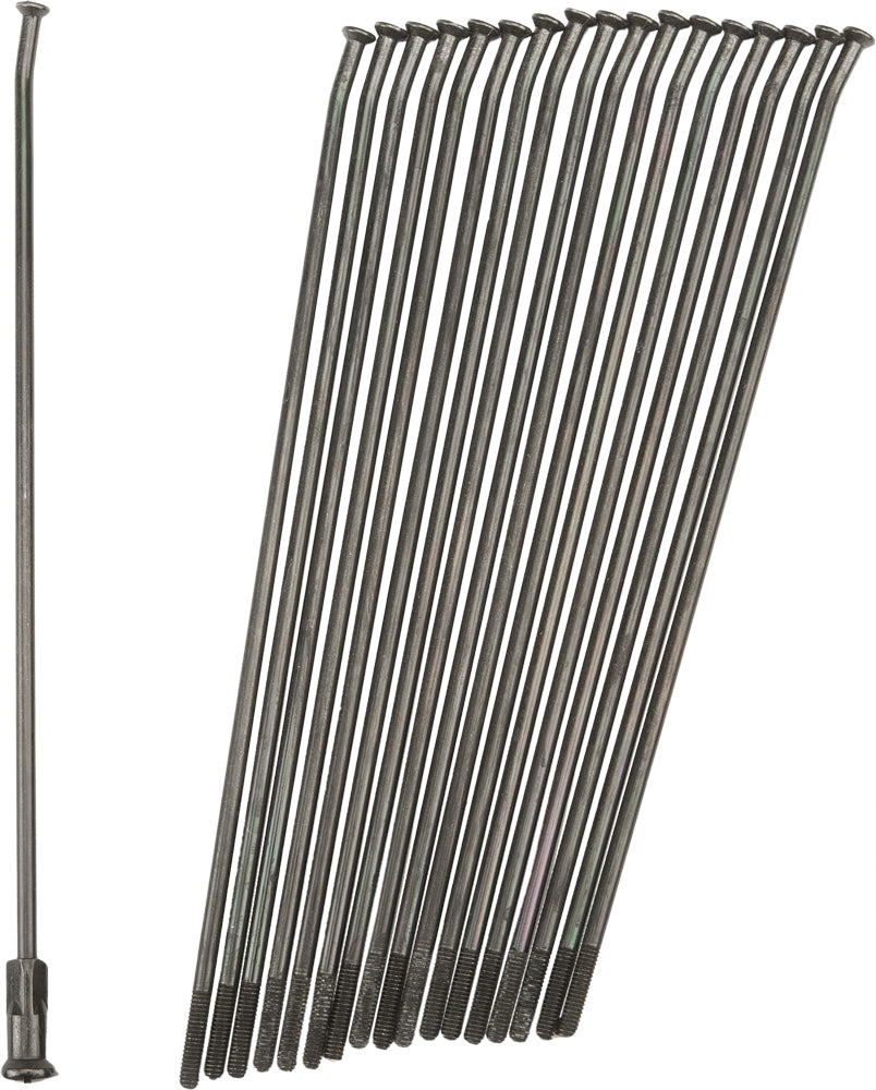 Double Butted Spokes Black/Black Front 21" 36/Pk