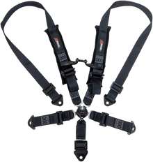 2" 5 Point Cam Lock Harness