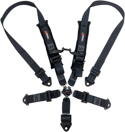 2" 5 Point Cam Lock Harness