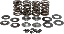 KIBBLEWHITE Valve Spring Kit 60-60120