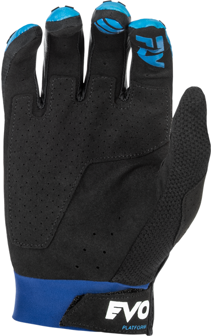 Evolution  Dst Gloves Blue/White 3x