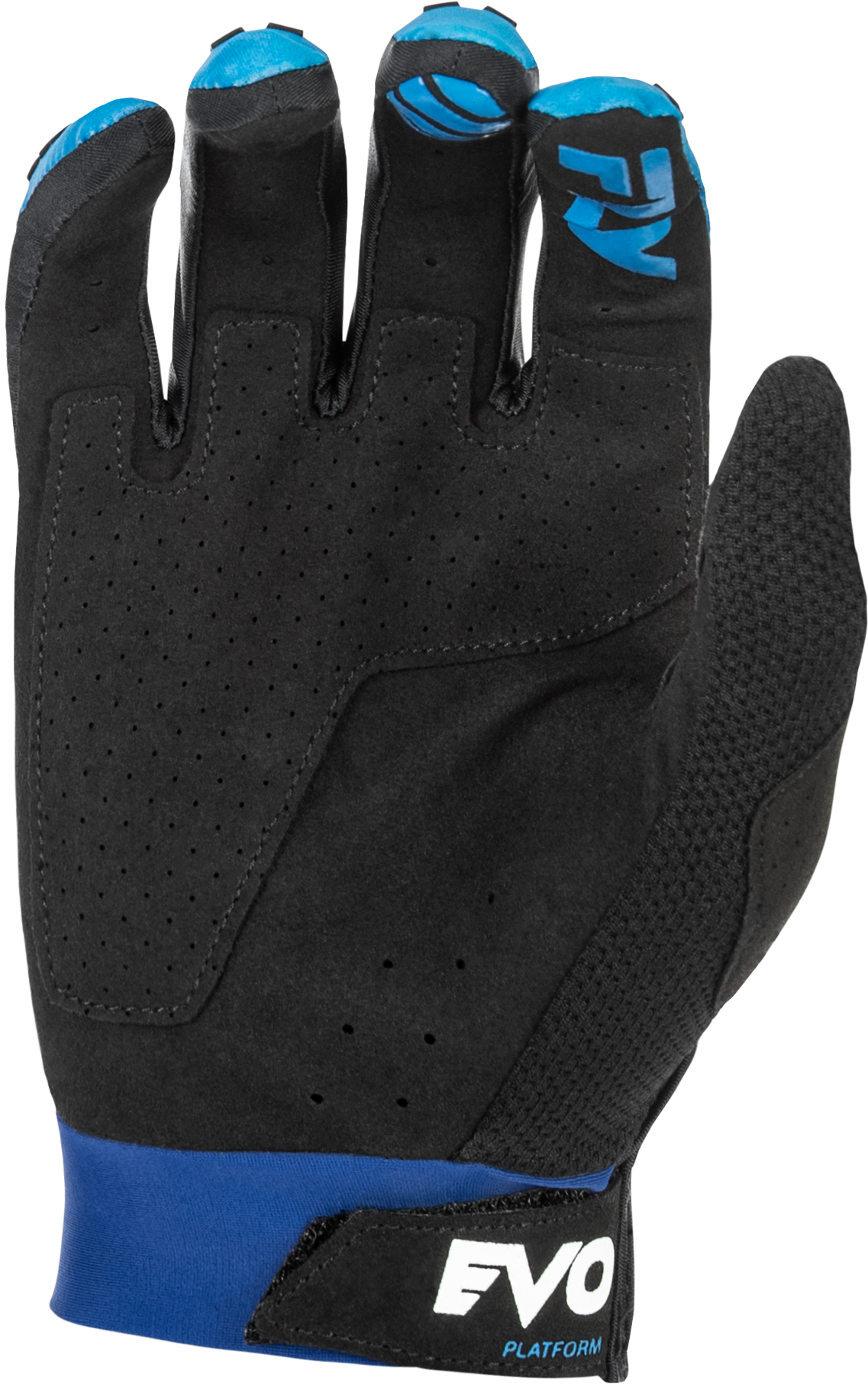 Evolution  Dst Gloves Blue/White 2x