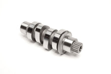 544 Grind Cam M8 17 24 (Exc.Vvt)