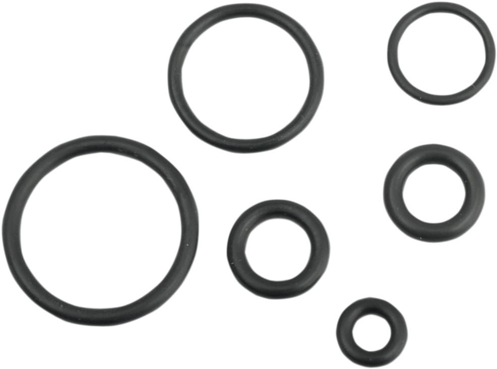 DRAG SPECIALTIES Replacement Fuel Line O-Ring Kit - EFI T03-0082-R