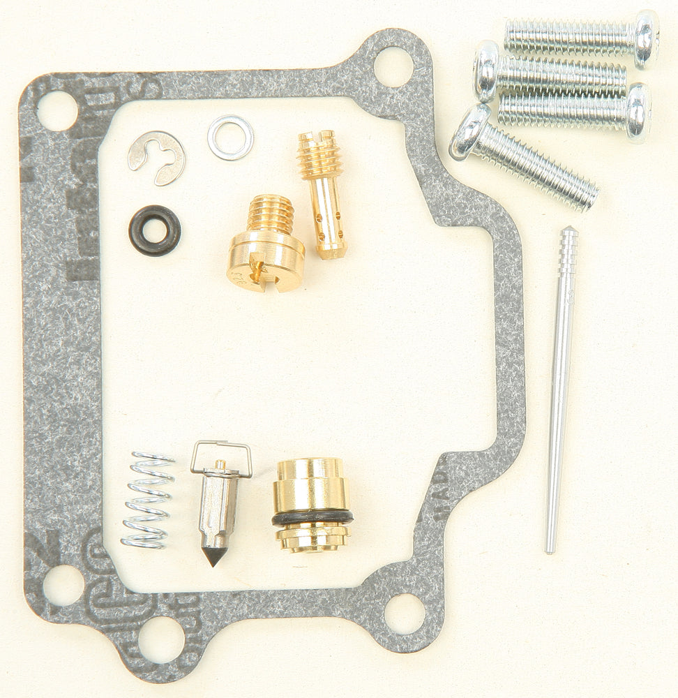 Carburetor Repair Kit