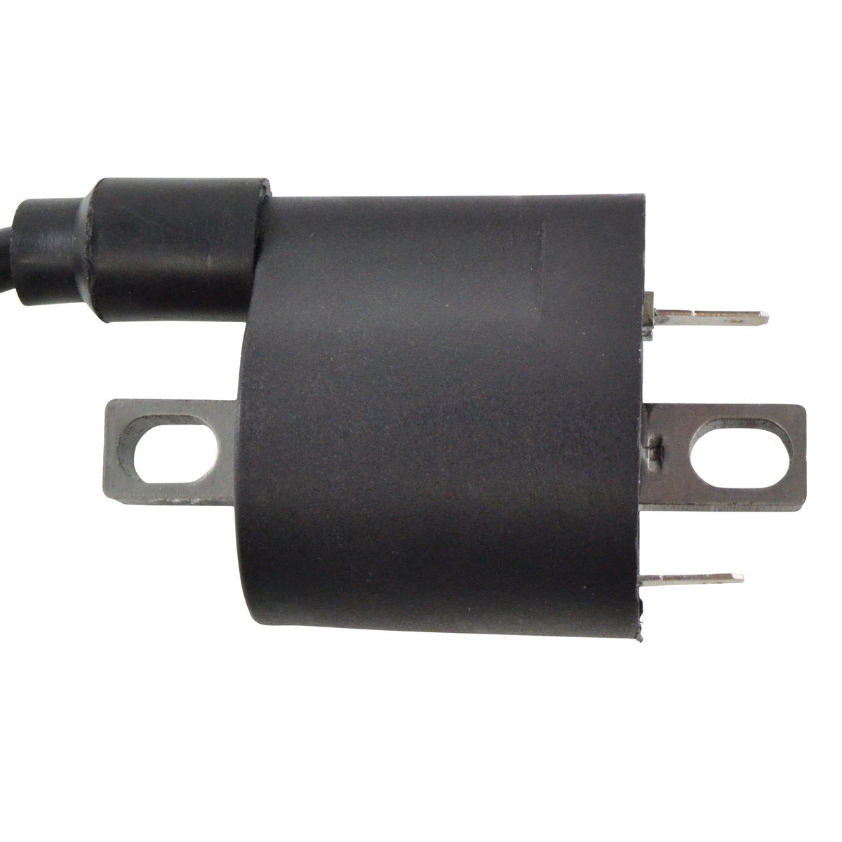 External Ignition Coil W/Spark Plug Cap