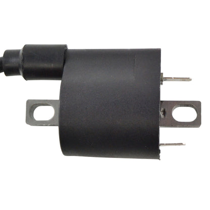 External Ignition Coil W/Spark Plug Cap