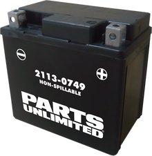 PARTS UNLIMITED AGM Battery - YTX5L CTX5L