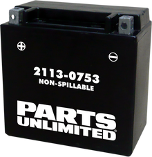 PARTS UNLIMITED AGM Battery - YTX14 CTX14