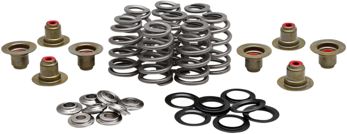 KIBBLEWHITE Beehive Spring Kit - 0.625" Lift - M8 | CVO 20-21800