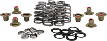 KIBBLEWHITE Beehive Spring Kit - 0.625" Lift - M8 | CVO 20-21800