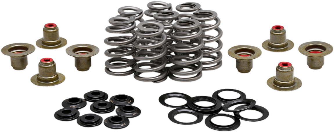 KIBBLEWHITE Beehive Spring Kit - 0.625" Lift - M8 | CVO 20-21850