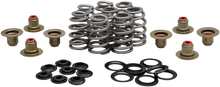 KIBBLEWHITE Beehive Spring Kit - 0.625" Lift - M8 | CVO 20-21850