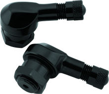 BikeMaster Valve Stem 2/Pack - Black