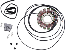 RICK'S MOTORSPORT ELECTRIC Stator - BMW 21-033