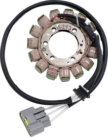 RICK'S MOTORSPORT ELECTRIC Stator - Kawasaki 21-243