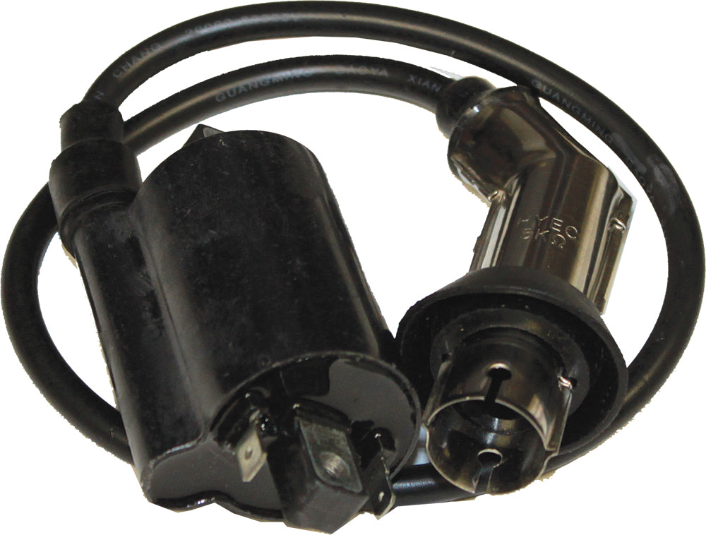 Ignition Coil 4 Stroke Gy6 250cc/Fs300