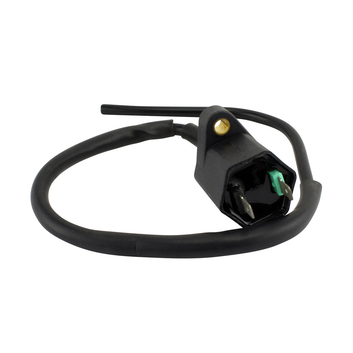 External Ignition Coil