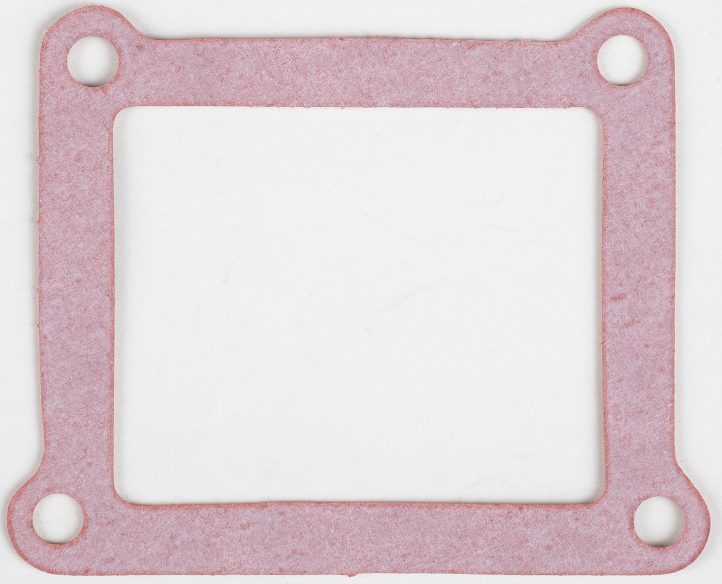 Motorcycle Rad Gasket