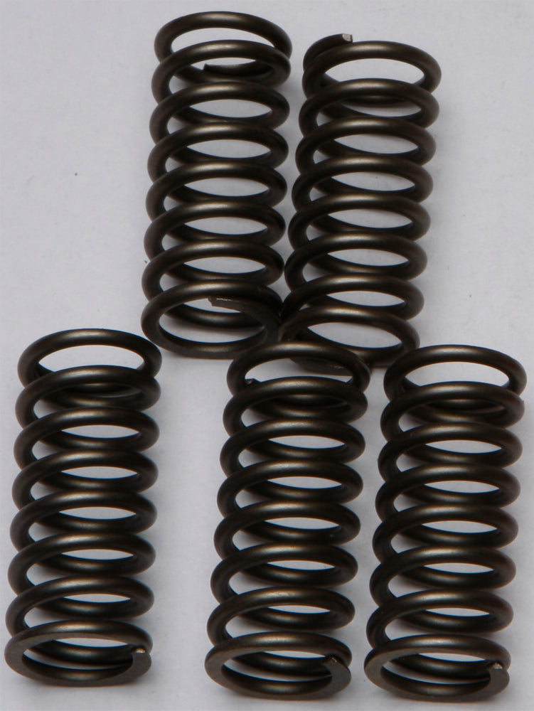 Clutch Springs Csk132