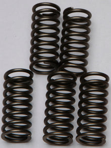 Clutch Springs Csk132