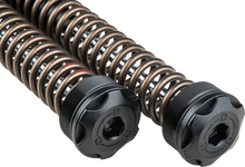 Scepter +2" Cartridge Kit 49mm Hvy Weight  Flh/Flt 14 24
