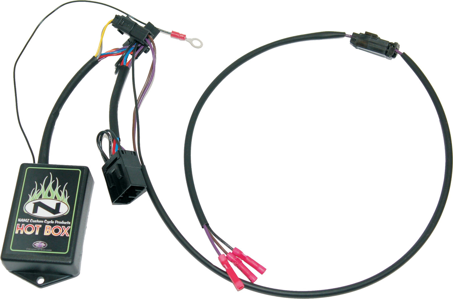 Tour Pack Rbt Signal Harness