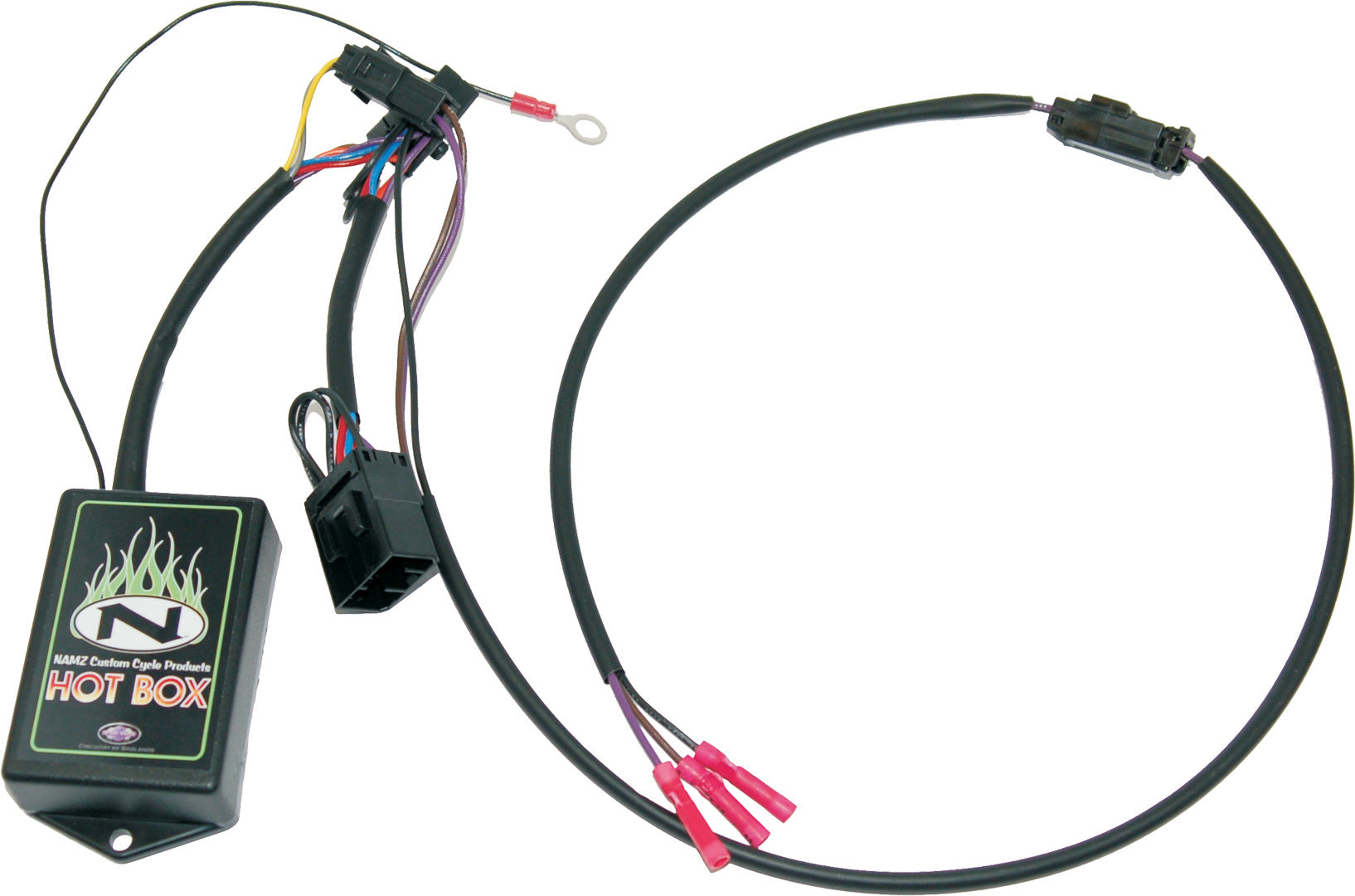 Tour Pack Rbt Signal Harness