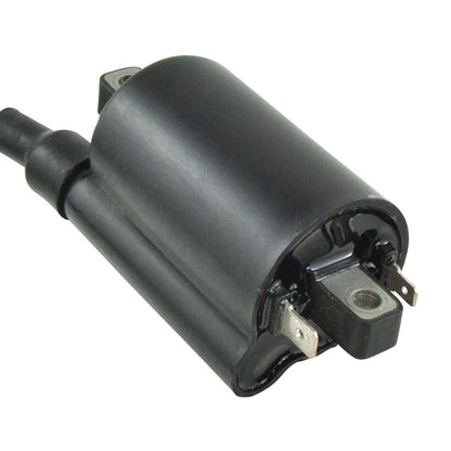 External Ignition Coil
