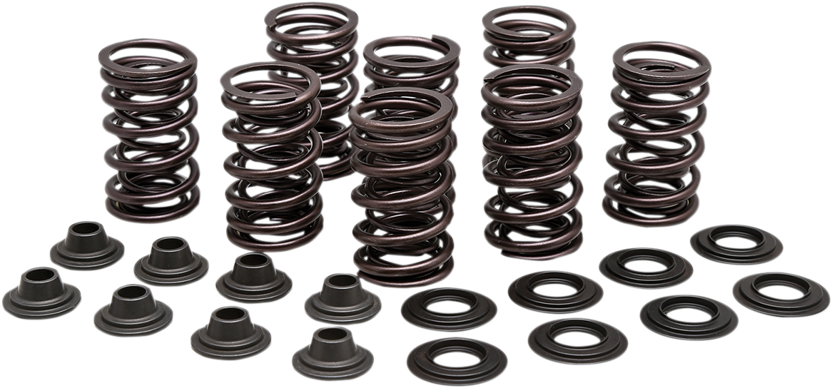 KIBBLEWHITE Valve Spring Kit - 0.450" Lift - High performance - Polaris 82-83350