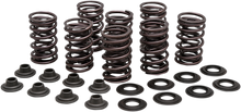 KIBBLEWHITE Valve Spring Kit - 0.450" Lift - High performance - Polaris 82-83350