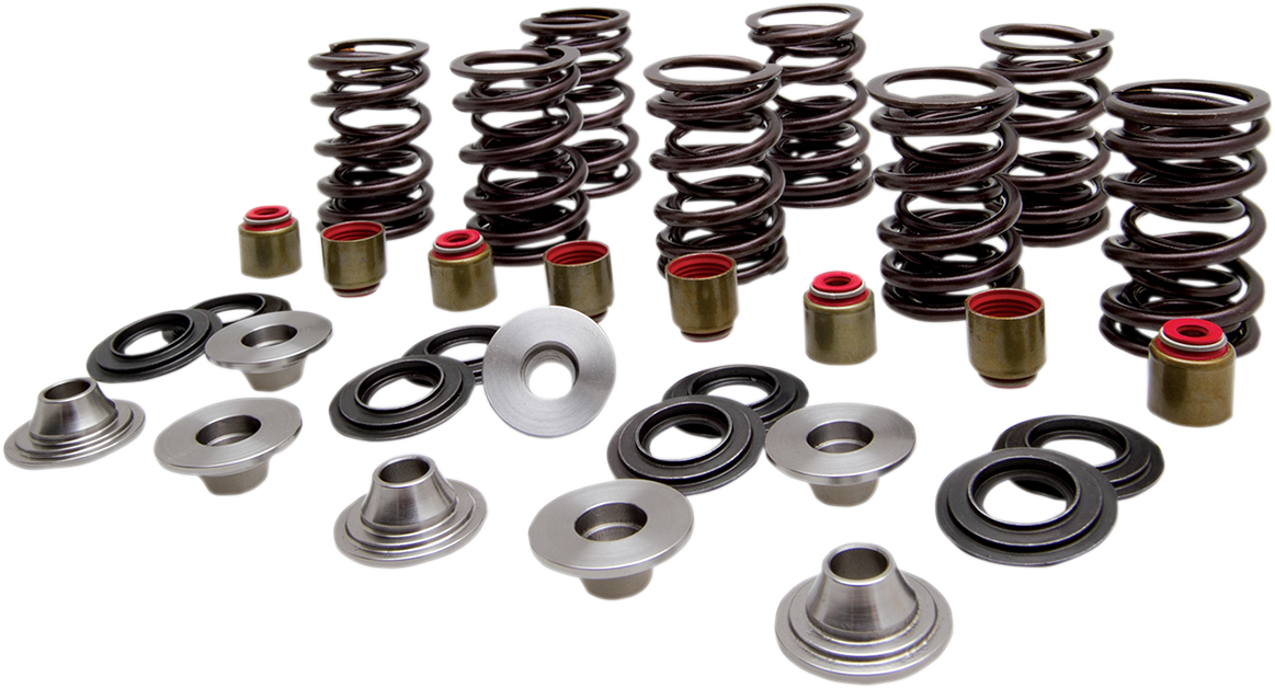 KIBBLEWHITE Valve Spring Kit - 0.450" Lift - High Performance - Polaris 82-83400