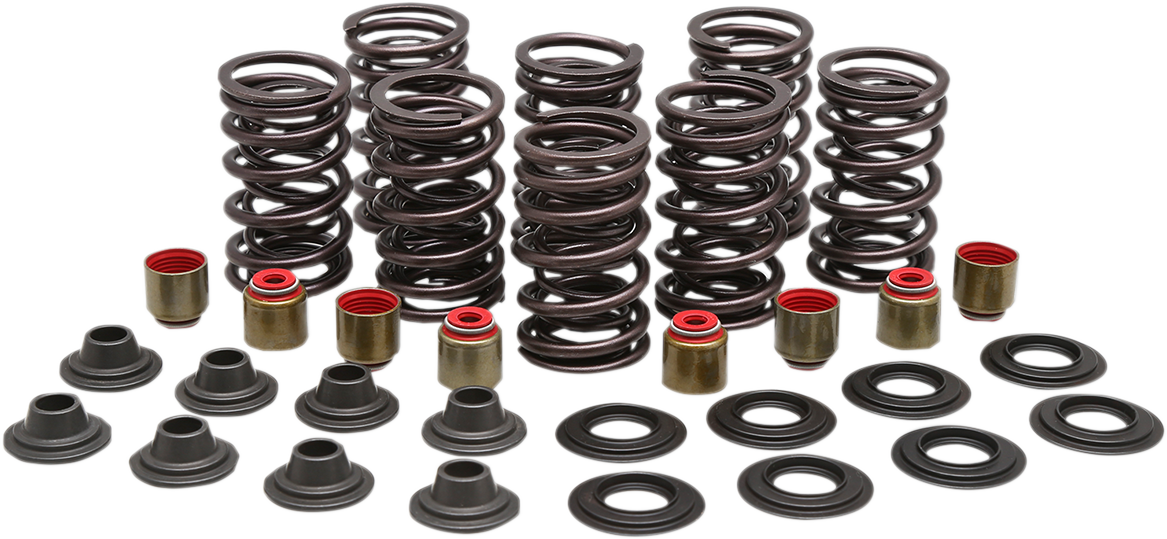 KIBBLEWHITE Valve Spring Kit - 0.450" Lift - High Performance - Polaris 82-83450