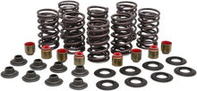 KIBBLEWHITE Valve Spring Kit - 0.450" Lift - High Performance - Polaris 82-83450