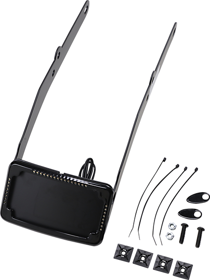 CYCLE VISIONS LP Plate Frame & Mount with Signals - FLSL - Black CV4655B