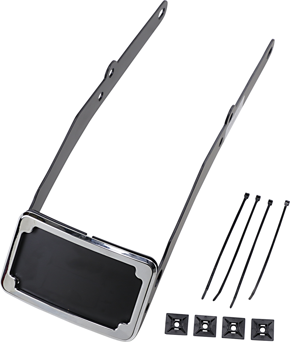 CYCLE VISIONS LP Plate Frame & Mount with Tag Light - FLSL - Black CV4665B