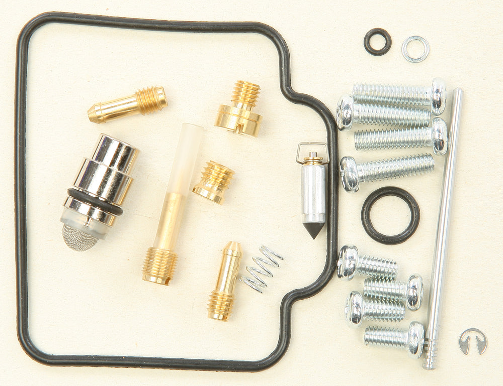 Carburetor Repair Kit