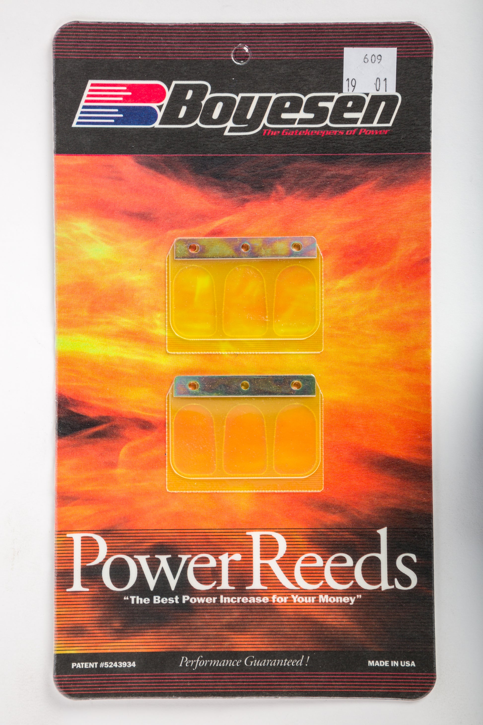 Motorcycle Reeds