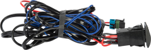 Actuator Wire Harness