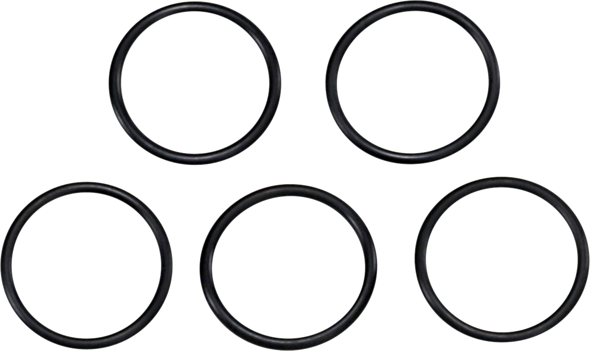 JAMES GASKET Oil Pump Valve O-Ring - XR1200 JGI-10971