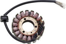 RICK'S MOTORSPORT ELECTRIC Stator - Kawasaki 21-223