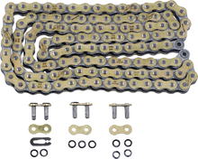 REGINA 520 ZSE - Drive Chain - 120 Links 135ZSE/1004