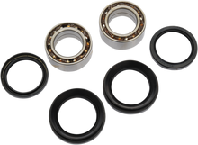 PIVOT WORKS Wheel Bearing Kit - Front - TRX300FW PWFWK-H20-003