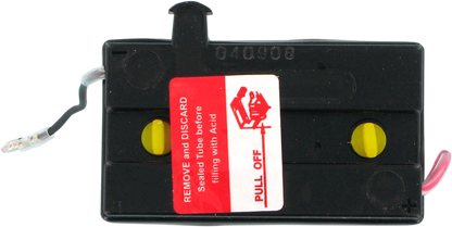 PARTS UNLIMITED Conventional Battery 6N6-1D-2