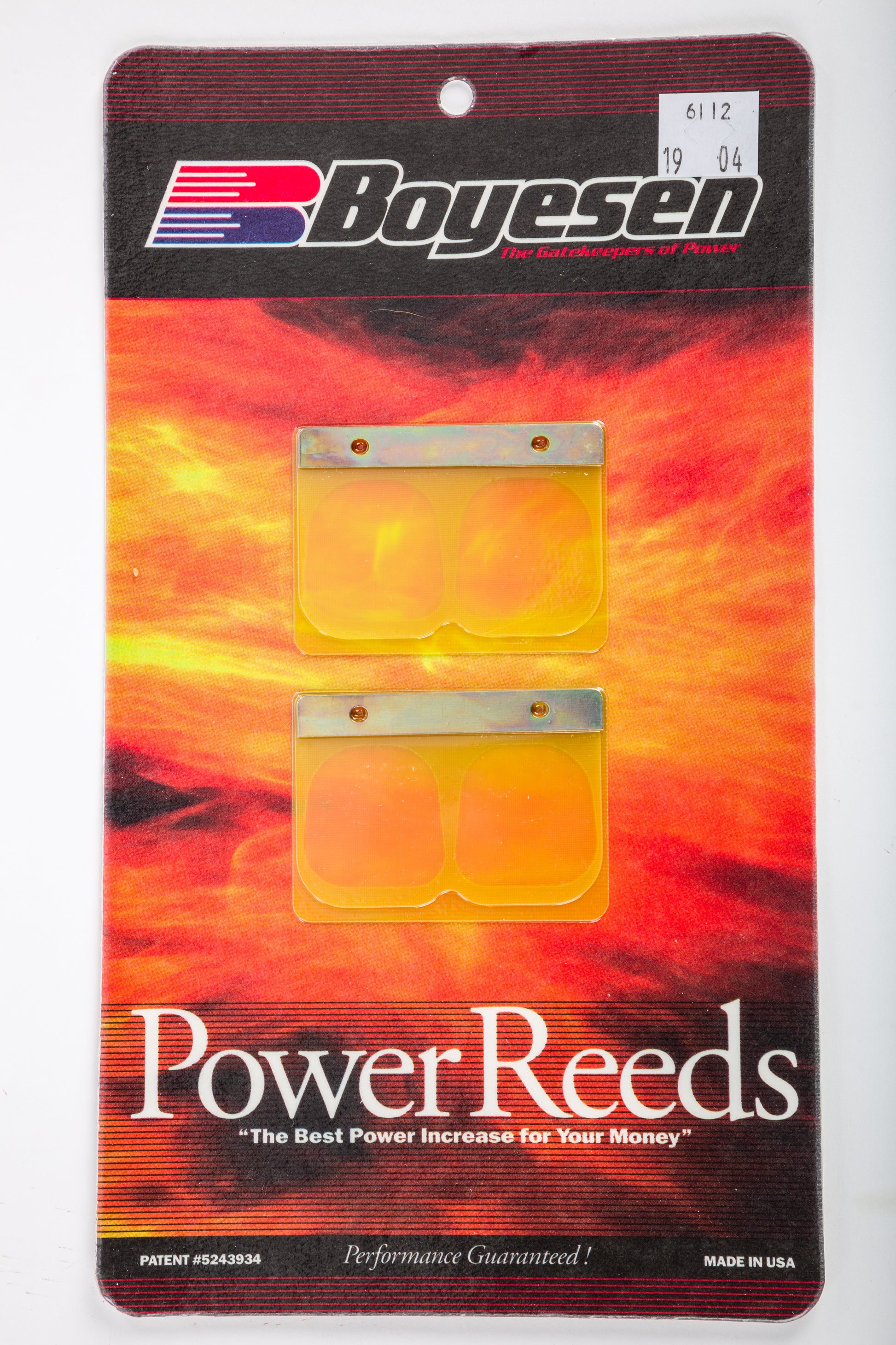 Motorcycle Reeds