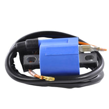 External Ignition Coil W/Spark Plug Cap