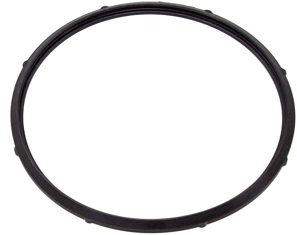 Fuel Pump Seal Yam