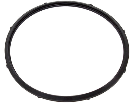 Fuel Pump Seal Yam