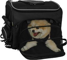 Route 1 Rover Pet Carrier 50l Black
